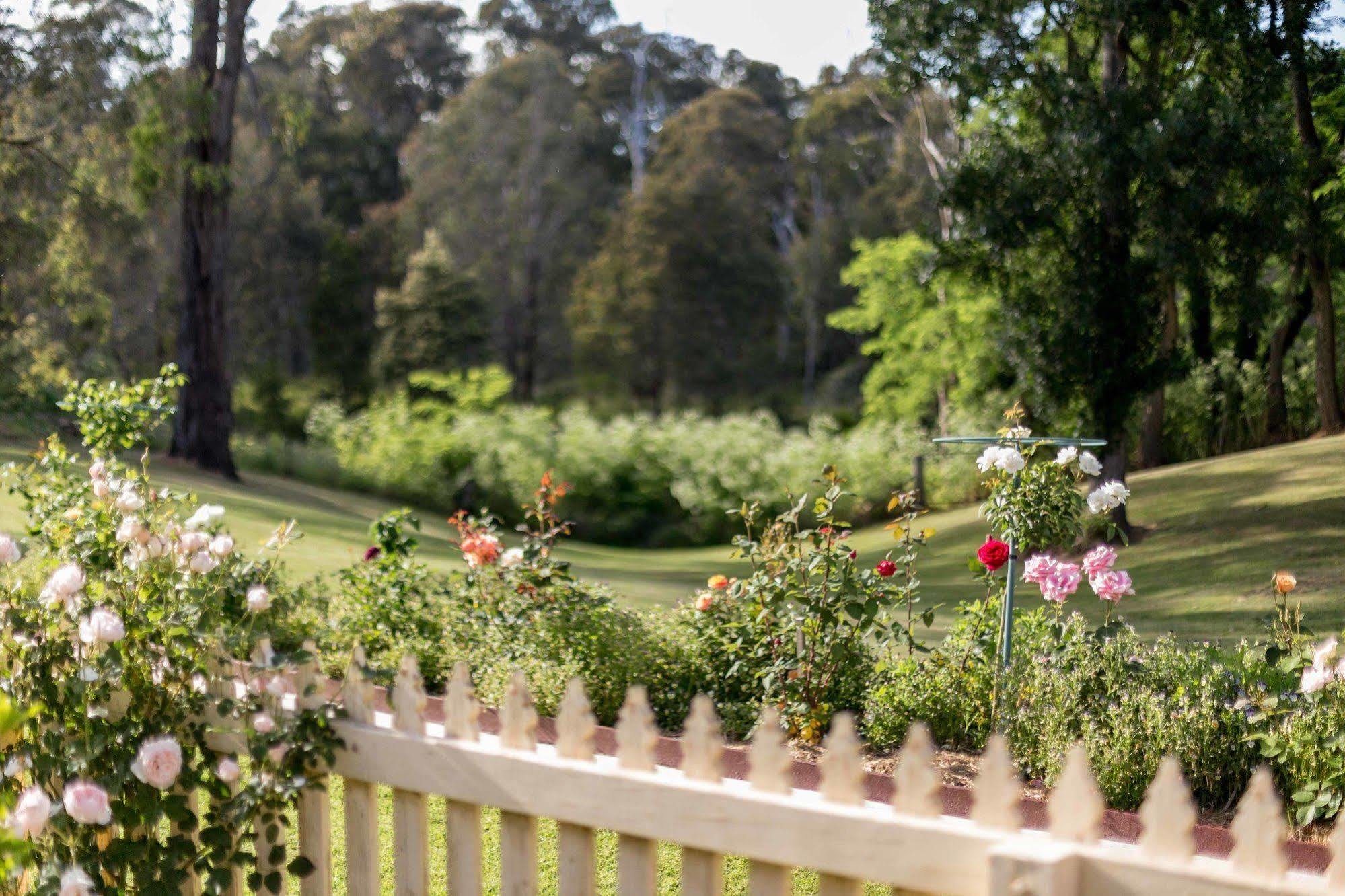 Berrima Bakehouse Motel ภายนอก รูปภาพ