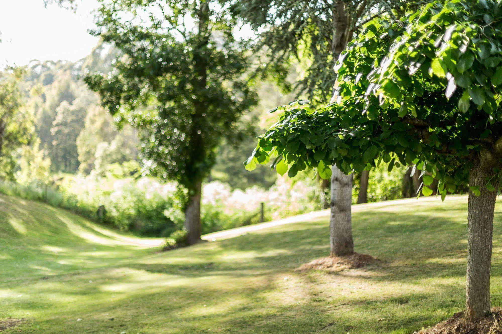 Berrima Bakehouse Motel ภายนอก รูปภาพ